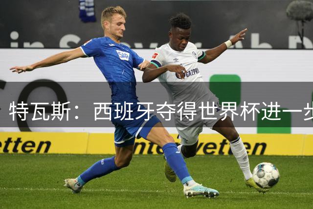 特瓦斯：西班牙夺得世界杯进一步证明了西甲是世界最佳联赛